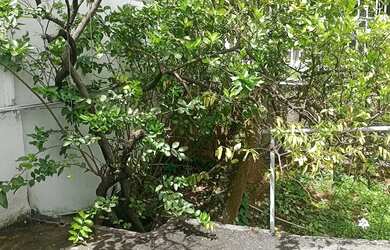 Imagem 10: Imovel de Alto Valor para Investir