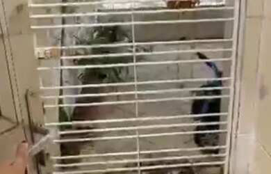 Imagem: A casa possui 3 Dormitórios, 2 Banheiros, 4 Vagas na garagem