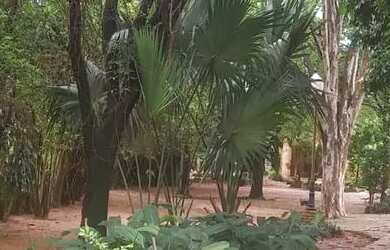 Imagem: A chácara e está localizado em Jardim Oriental, Catanduva