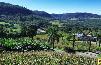 Imagem 5: Sítio / Chácara para Venda em Nova Petrópolis, Nove Colonias