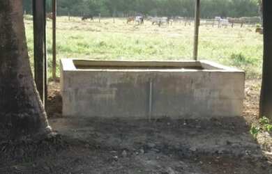 Imagem 5: Ótima oportunidade Fazenda no itã. 240 hectares