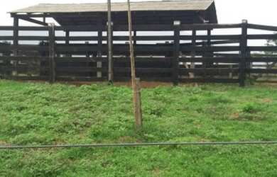 Imagem 13: Ótima oportunidade Fazenda no itã. 240 hectares