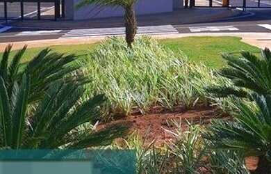 Imagem: O terreno possui 253m² de Área e está localizado em São