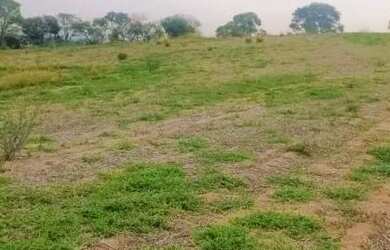 Imagem 10: 03a-824DU0. 500m² de Área