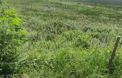 Imagem: O terreno está localizado em Village do Sol, Guarapari à venda