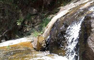 Imagem 9: Fazenda em guaratiguetá s.p 260 hectares 6.000.000.00 tay
