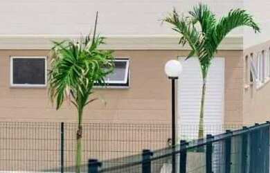 Imagem 4: Apartamento em Queimados