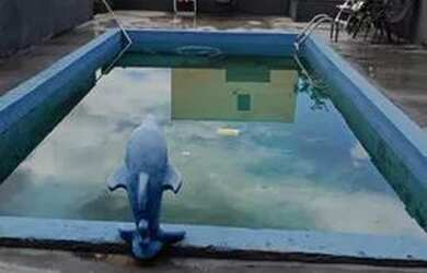 Imagem: A casa possui 3 Dormitórios, 2 Banheiros, 5 Vagas na garagem