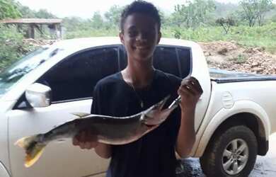 Imagem 6: A M IMOVEIS VENDE EXELEN FAZENDA COM 310.7HECTARES PARA PECUARIA