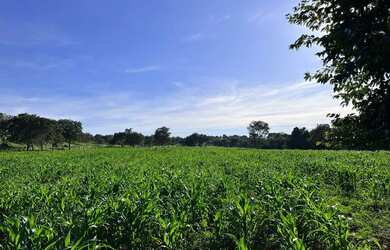 Imagem: A fazenda possui 43m² de Área e está localizado em Santa