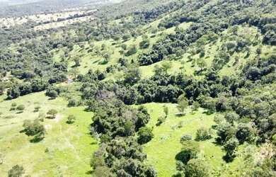 Imagem: A fazenda possui 10m² de Área e está localizado em Marzagão