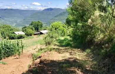 Imagem 13: Sítio / Chácara para Venda em Nova Petrópolis, Linha Pirajá Baixa