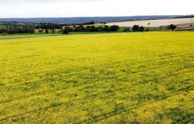 Imagem: A fazenda possui 20m² de Área e está localizado em Ipameri