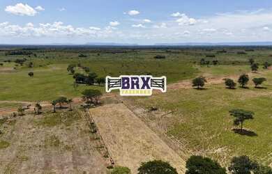 Imagem 13: Fazenda à venda ou arrendamento agrícola em Flores de Goiás