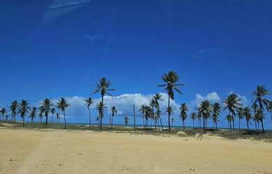 Imagem: O terreno possui 200m² de Área e está localizado em Barra