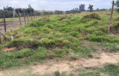 Imagem: A chácara possui 5.000m² de Área e está localizado em Bairro