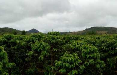 Imagem 1: Vendo fazenda entre são mateus e água limpa