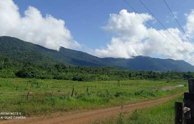Imagem 6: Ótima oportunidade Fazenda no itã. 240 hectares