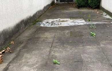 Imagem 8: Loja, 683 m² - venda por R$ 5.000.000,00 ou aluguel por R$ 35.000,00/mês...