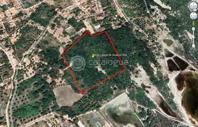 Imagem: O terreno possui 40.000m² de Área e está localizado em Nísia