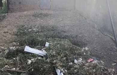 Imagem 4: Terreno No Betel. Piscina