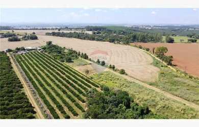 Imagem 5: Terreno à Venda 26.000 m² no Bairro Itaqui, Mogi Guaçu/SP