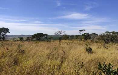 Imagem 6: Fazenda à venda, 969200 m² por R$ 6.000.000 - Serra Do Salitre - Serra...