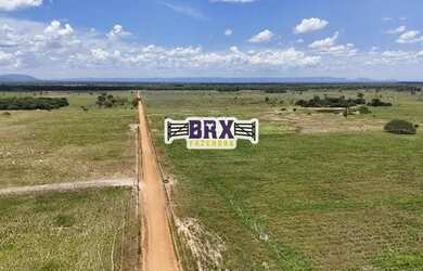 Imagem 8: Fazenda à venda ou arrendamento agrícola em Flores de Goiás