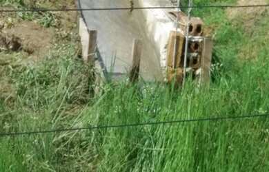 Imagem 10: Ótima oportunidade Fazenda no itã. 240 hectares