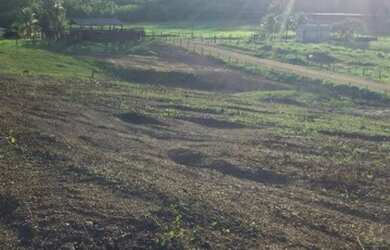 Imagem 12: Ótima oportunidade Fazenda no itã. 240 hectares