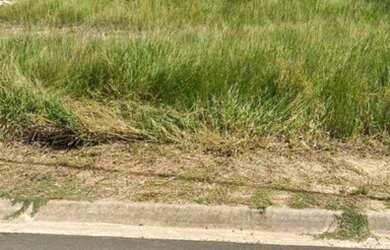 Imagem 5: Terreno à venda, 1650 m² por R$ 825.000,00 - Condomínio Quintas da...