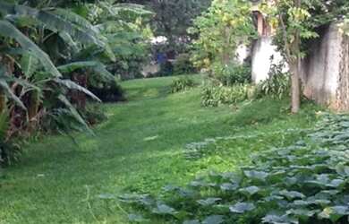 Imagem: O terreno possui 500m² de Área e está localizado em Paraisópolis