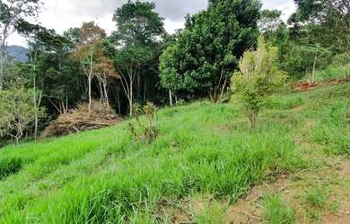 Imagem 5: Super oportunidade 103 mil reais lindo local