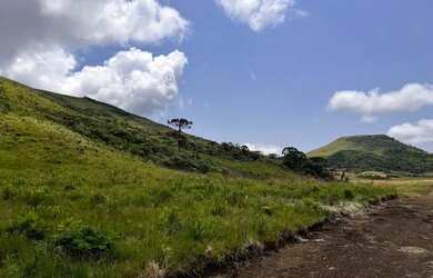 Imagem: A chácara possui 20.000m² de Área e está localizado em