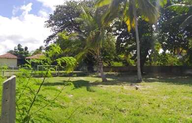 Imagem 2: Lote/Terreno para venda tem 883 metros quadrados ao lado do Hotel Amoaras...