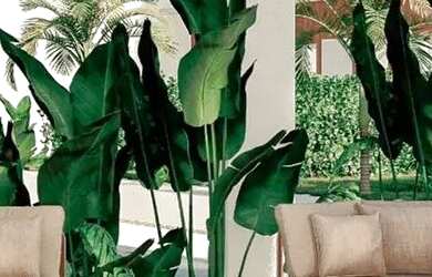 Imagem 9: Casas no condominío Oásis Residence com 2 quartos no bairro Village...