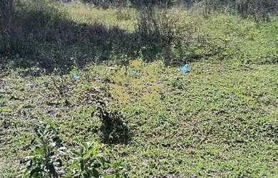 Imagem 11: Lote com 360m² em condominio à venda por R$ 28.000,00 - Itatiquara -...