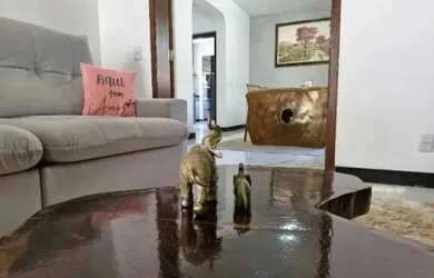 Imagem 2: Ótima casa a venda no Cruzeiro direto com o Proprietário