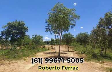 Imagem 4: Chácara Padre Bernardo topografia excelente