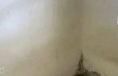 Imagem 3: QNQ 2 Ceilândia Norte Casa 2 Quartos Kit Aceita financiamento