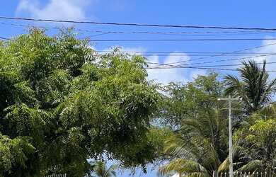 Imagem: A casa possui 3 Dormitórios, 2 Banheiros, 3 Vagas na garagem