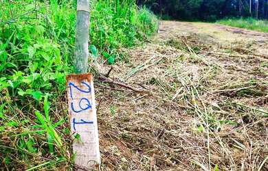 Imagem 10: Lote/Terreno para venda tem 500 metros quadrados em Jardim Japão Caucaia...