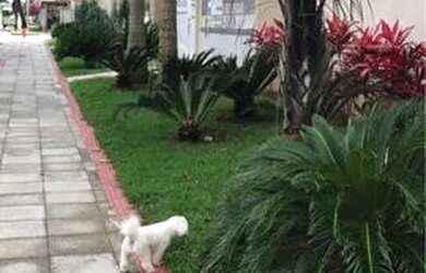 Imagem 2: VENDA ES Apto. Piscina, Imóvel mobiliado, Varandae60m² de Área