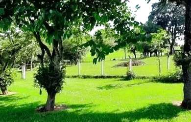 Imagem: A fazenda e possui Dormitórios, Suítes, Banheiros, 72600-0m²