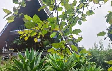 Imagem 5: Casa à venda em Debossan, Nova Friburgo com 108m² por R$ 400.000,00