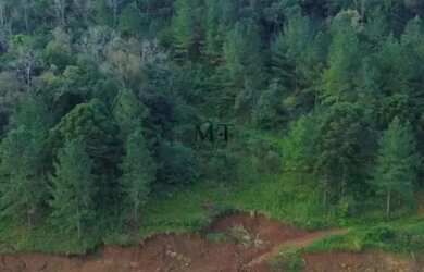 Imagem 4: Sítio bairro Linha Pirajá, Nova Petrópolis.RS REF 336