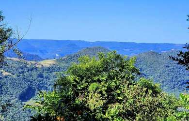Imagem 8: Terreno para Venda em Nova Petrópolis, Vila Olinda