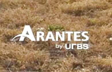 Imagem: O terreno possui 250m² de Área e está localizado em Jardim