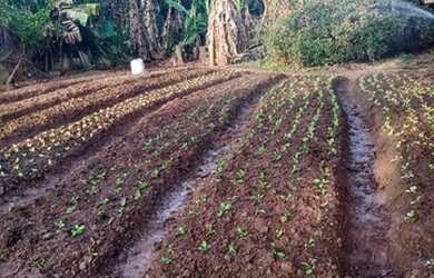 Imagem: A fazenda possui 16.800m² de Área e está localizado em Barreiro