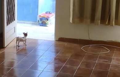 Imagem: O apartamento possui 1 Dormitório, 1 Banheiro e está localizado